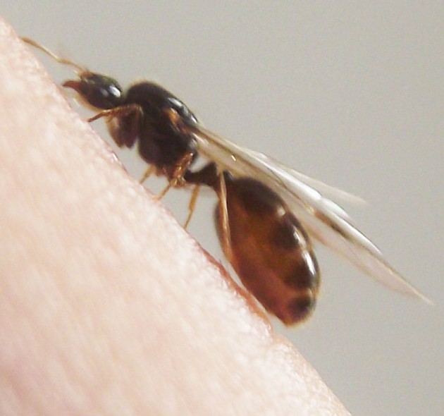 DSCF4284.JPG
