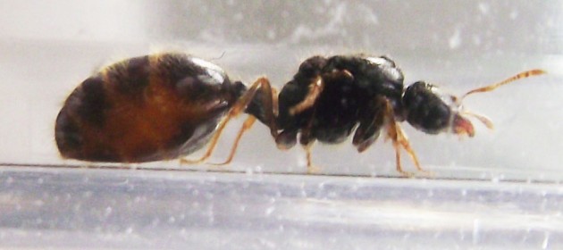 DSCF4292.JPG