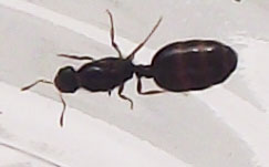 DSCF4294.JPG