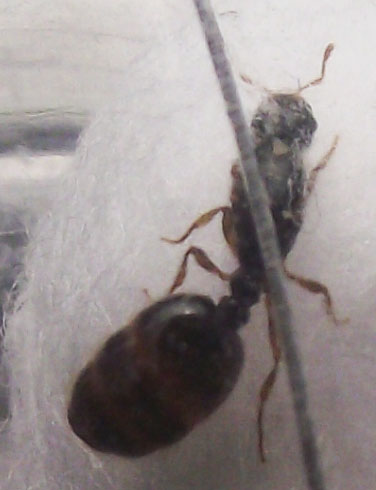 DSCF4296.JPG