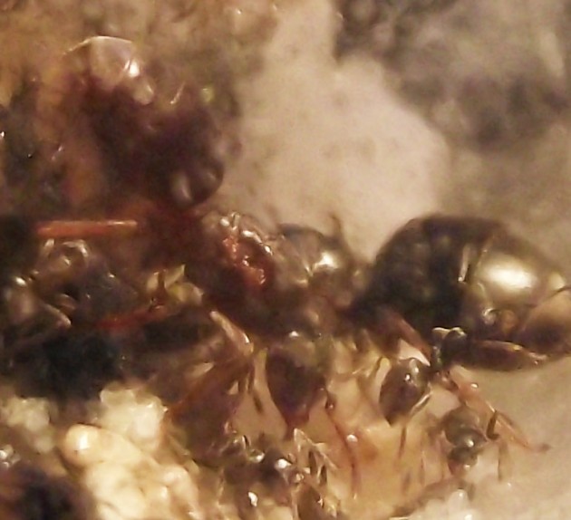 DSCF4336.JPG