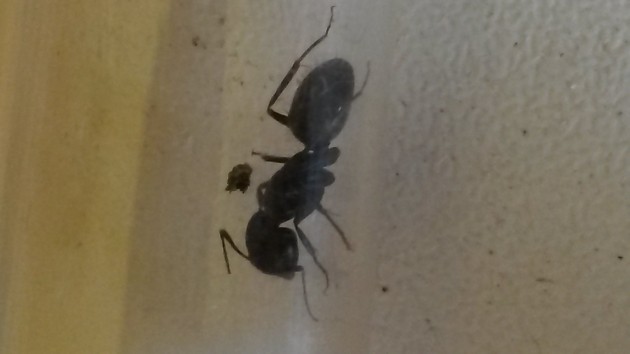 20140809_104741.jpg