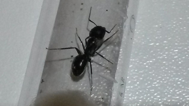 20140808_232759.jpg