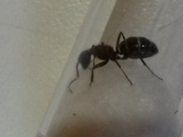 20140812_193531.jpg