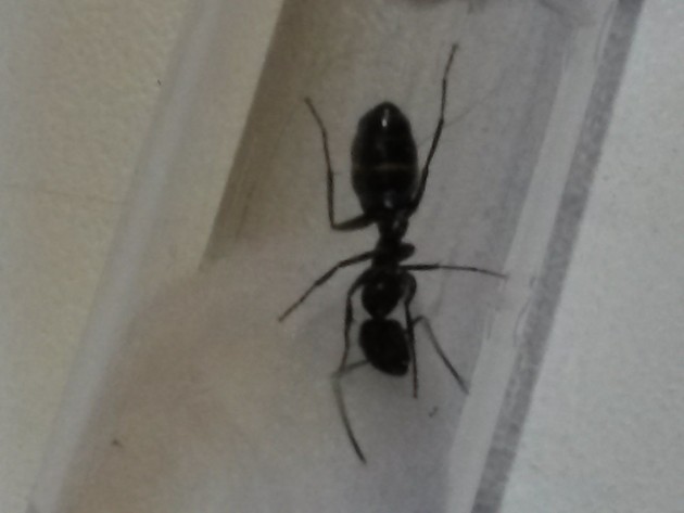 20140812_193516.jpg