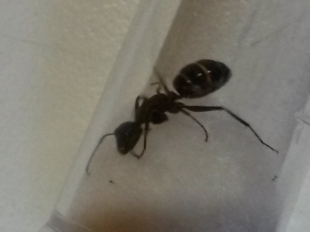 20140812_193529.jpg