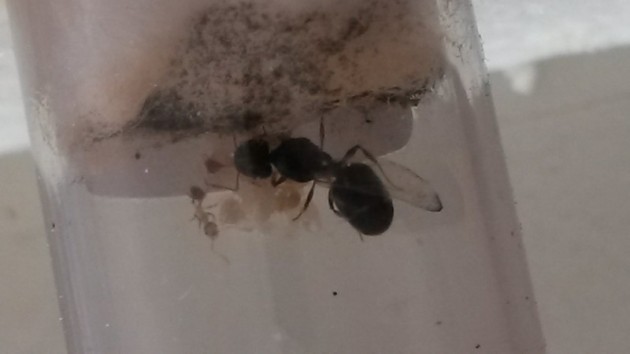 20140823_142350.jpg