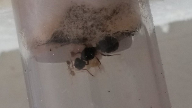 20140823_142357.jpg