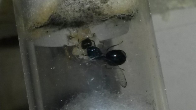 20140823_142416.jpg