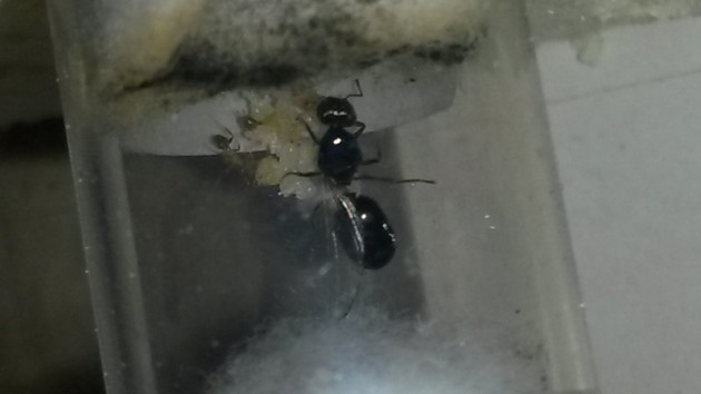 20140823_142421.jpg