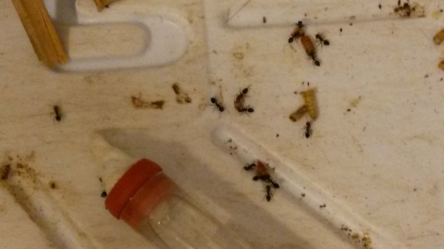 20140909_220349.jpg