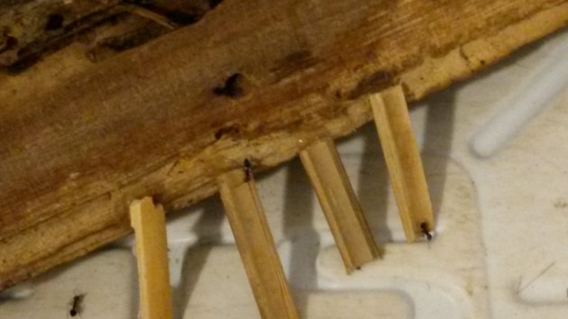 20140909_220405.jpg