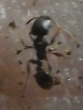 DSCF4419.JPG