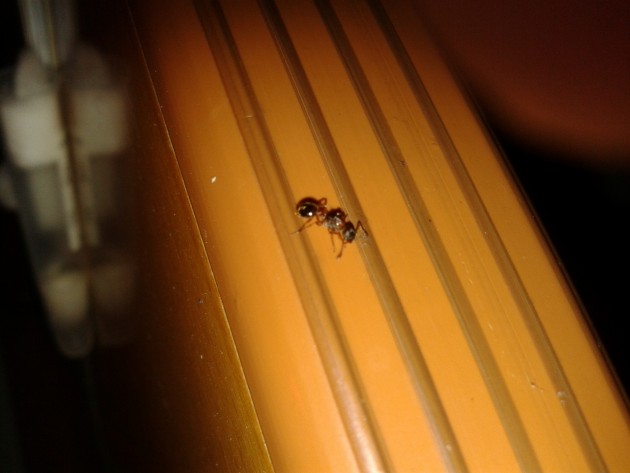 20140929_180352.jpg