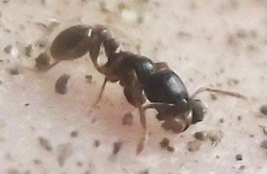 DSCF4421.JPG