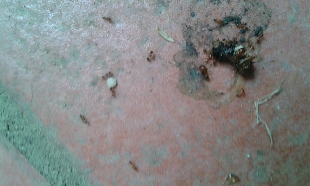 20141004_151250.jpg