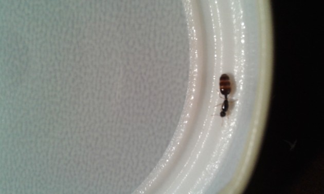 20141012_120453.jpg