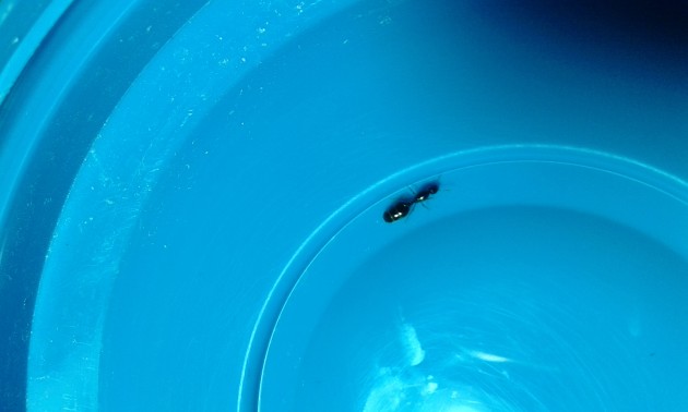 20141015_142534.jpg