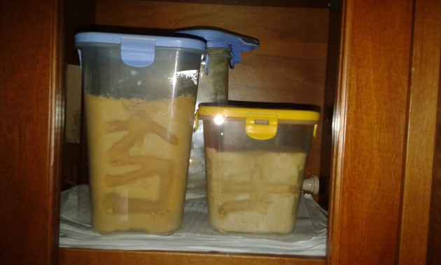 20141031_132646.jpg