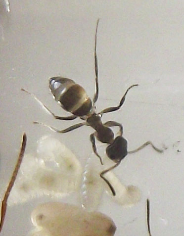 DSCF3894.JPG