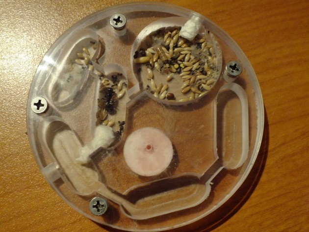 DSCF9428.JPG