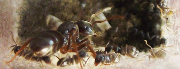 DSCF4474.JPG