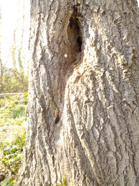 DSCF9609.JPG