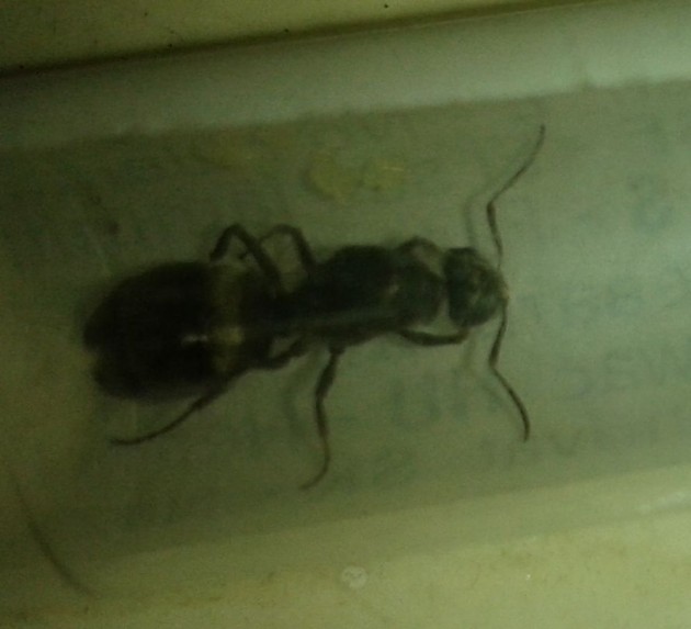 20140612_200222.jpg