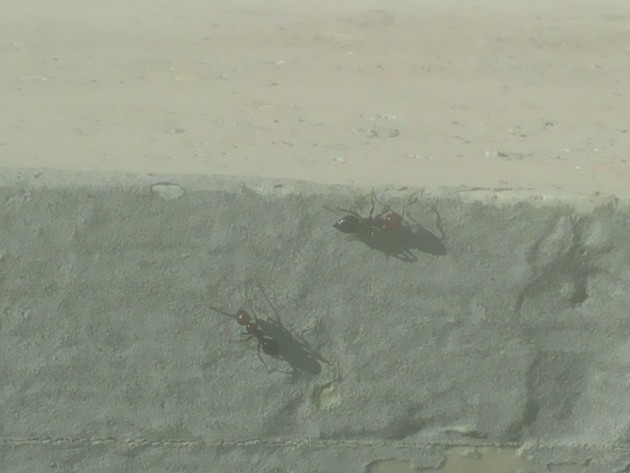 20150413_141818.jpg