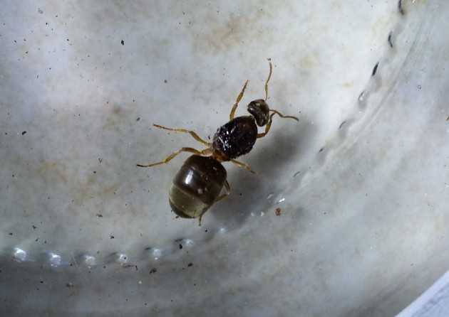20150427.jpg
