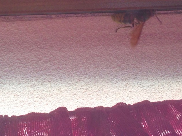 Foto 13-06-15 18 16 35.jpg