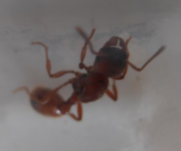 P1010004.JPG