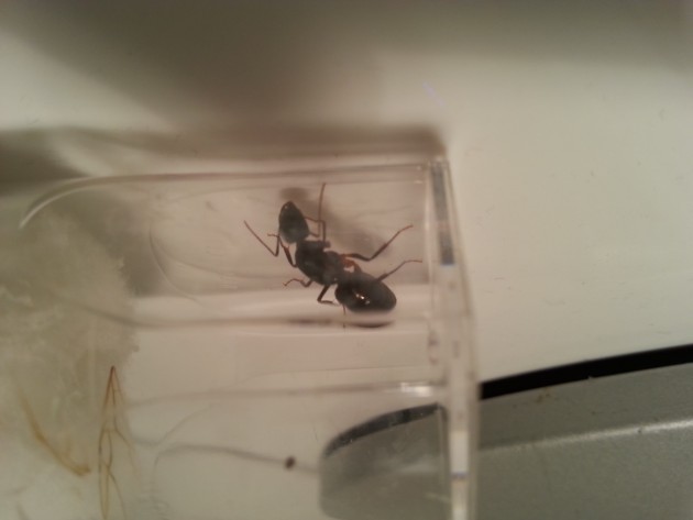20150626_040250.jpg