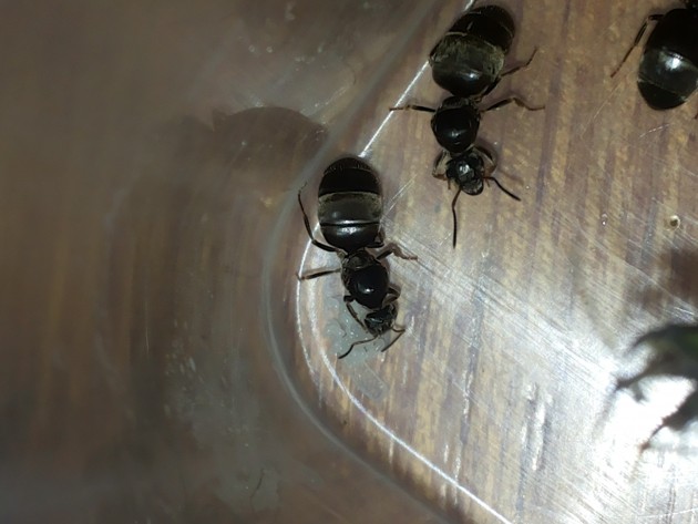 20150703_074653.jpg