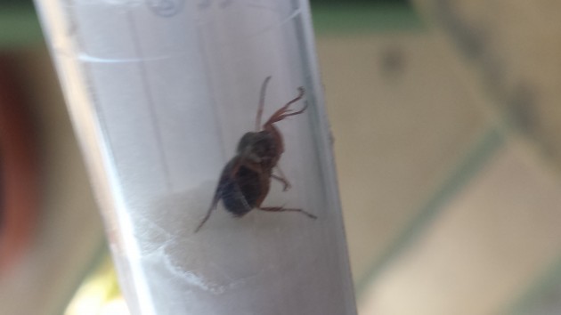 20150710_085456.jpg