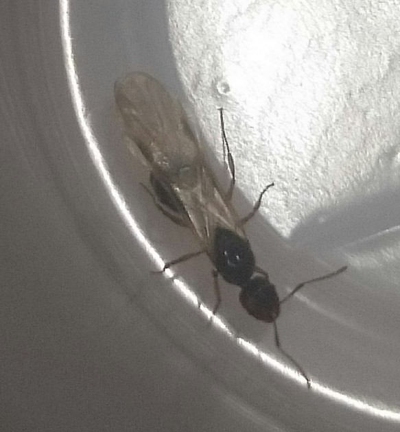 _20150721_015011.JPG