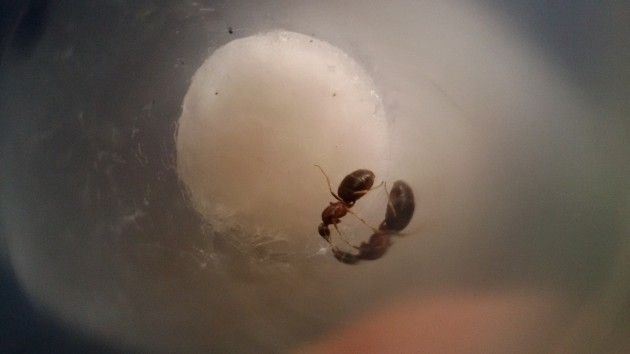 20150723_155741.jpg