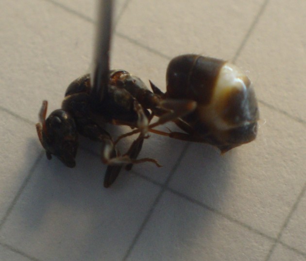 DSC01308.JPG