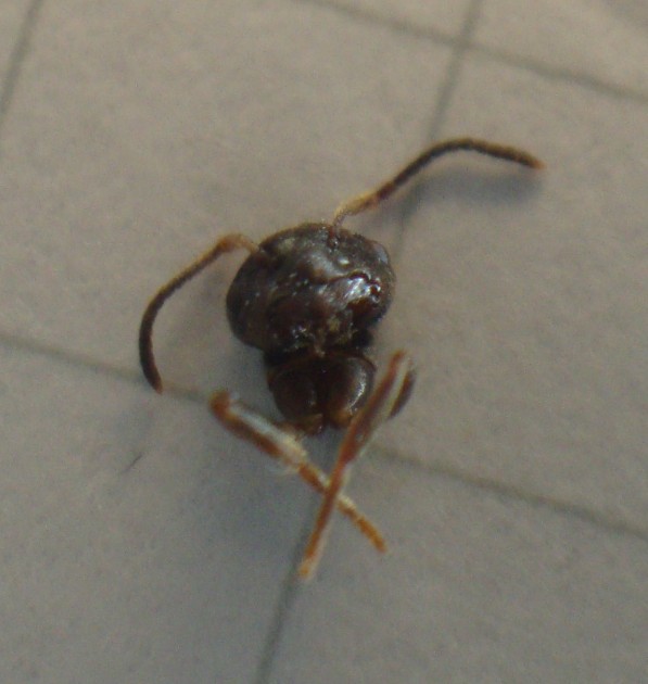 DSC01318.JPG