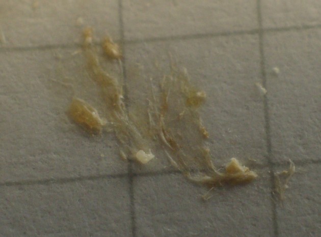 DSC01326.JPG