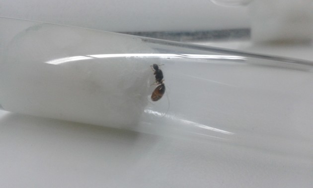 20150915_224943.jpg