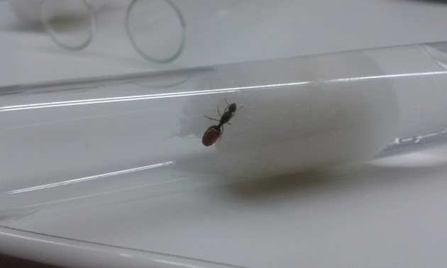 20150915_225414.jpg