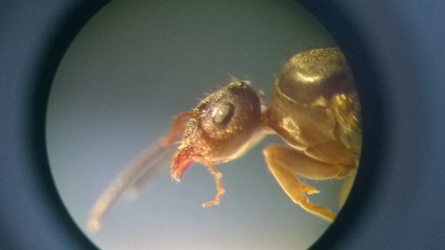WP_20150915_008.jpg