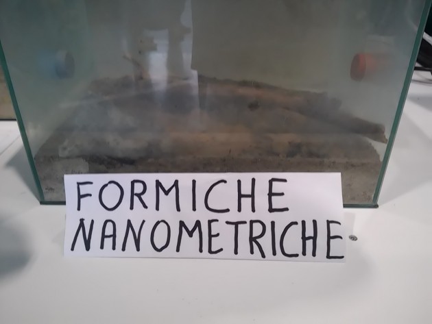 20150920_115431.jpg