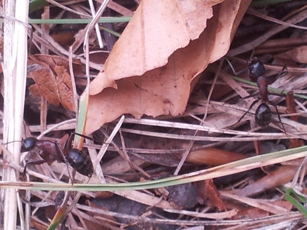 20121001_182019.jpg
