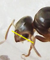DSCF37921.jpg