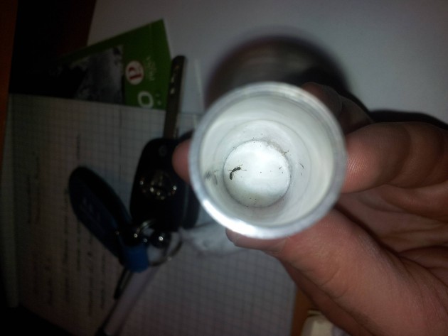Optimized-20121006_185042.jpg