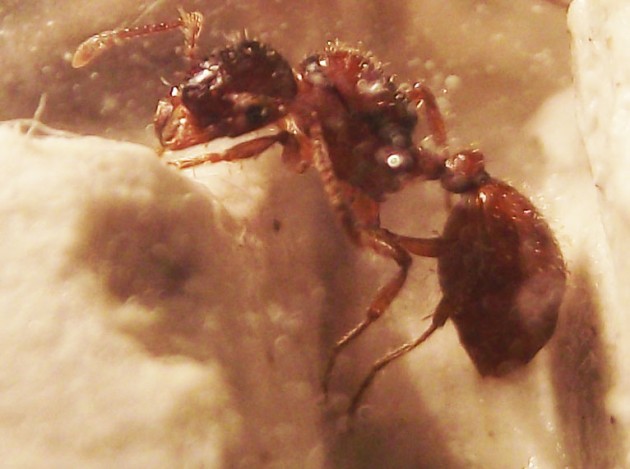 DSCF4552.JPG