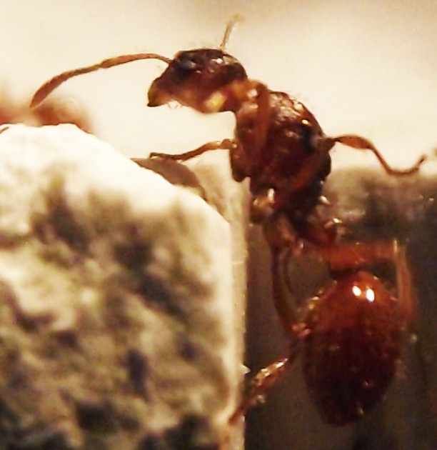 DSCF4507.JPG