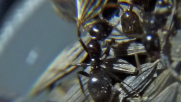 20151023_200823.jpg